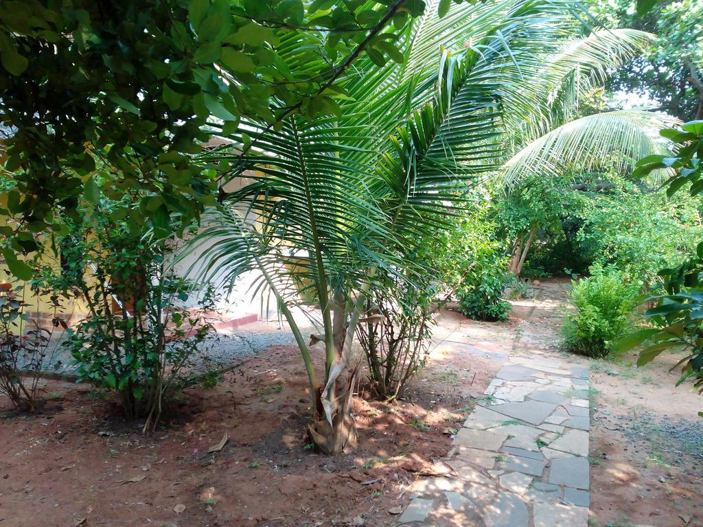 أورفيلا Purity Guest House المظهر الخارجي الصورة