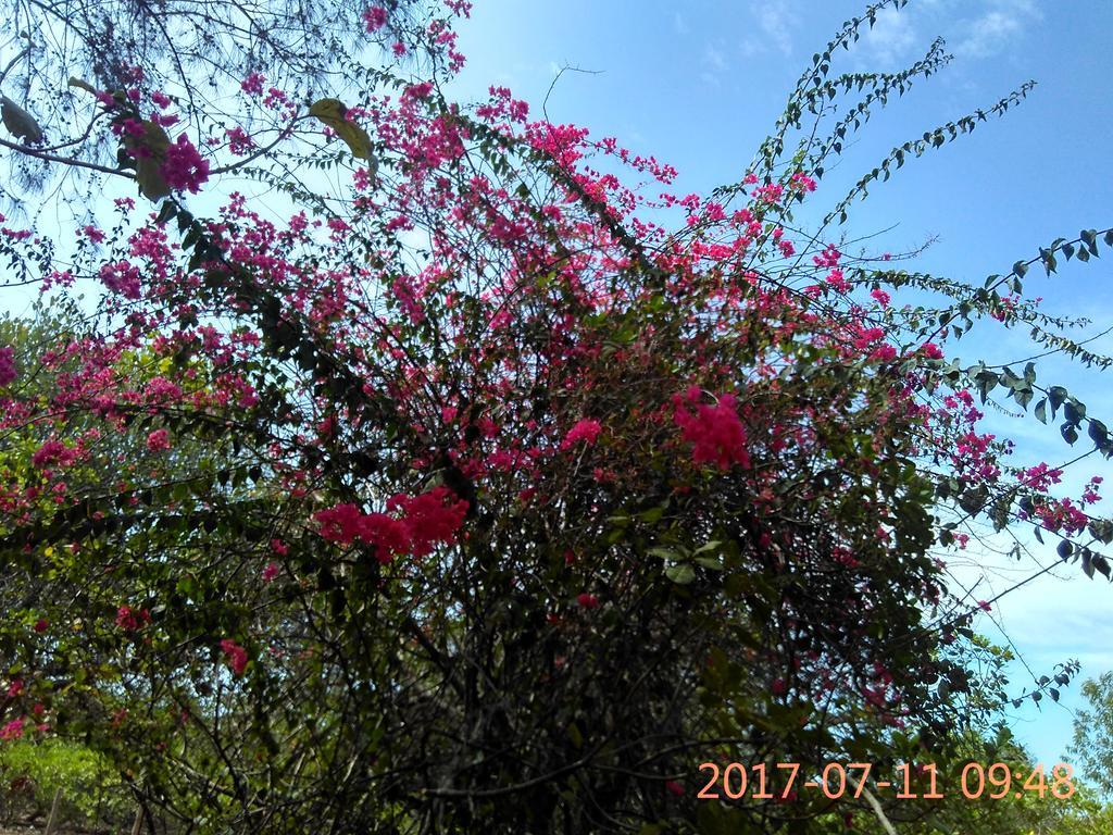 أورفيلا Purity Guest House المظهر الخارجي الصورة